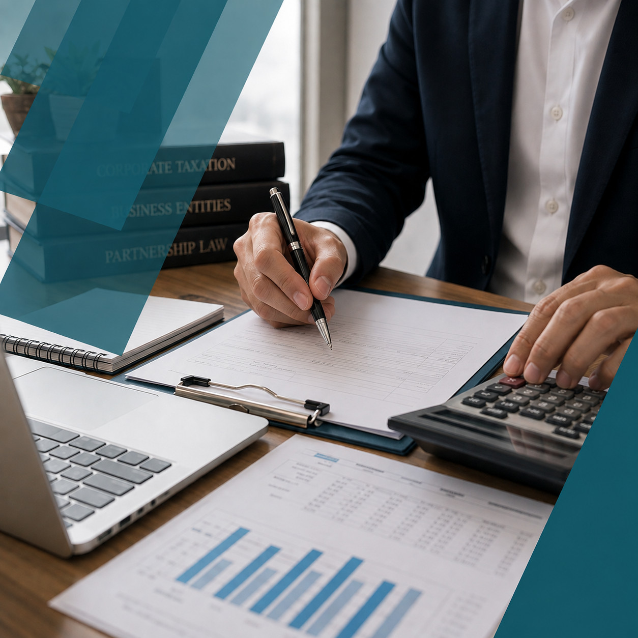 Business Tax Entity
